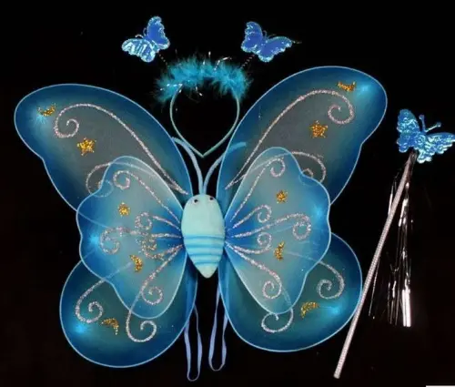 Costume da farfalla per bambina