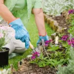 Come risparmiare con il giardinaggio fai da te